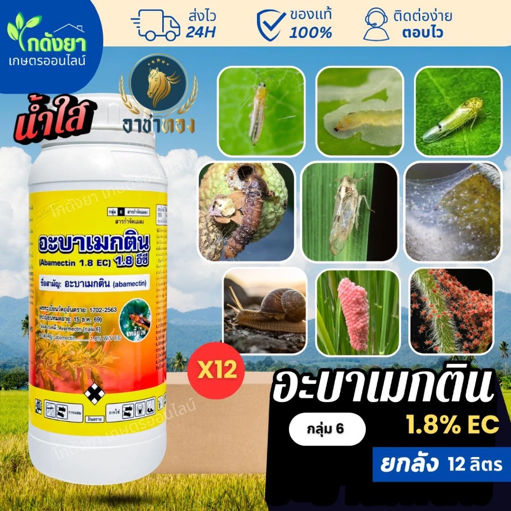 อะบา อาชาทอง ยกลัง (12ลิตร)