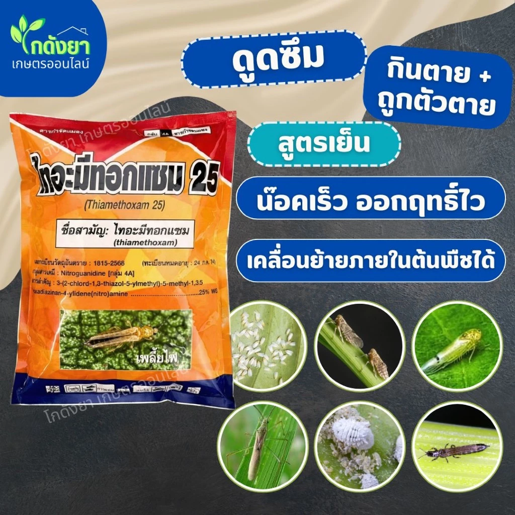 ไทอะมีทอกแซม อาชาทอง