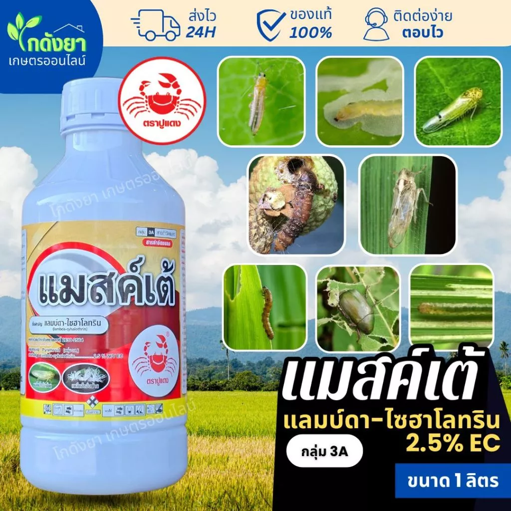 ยาฆ่าแมลง