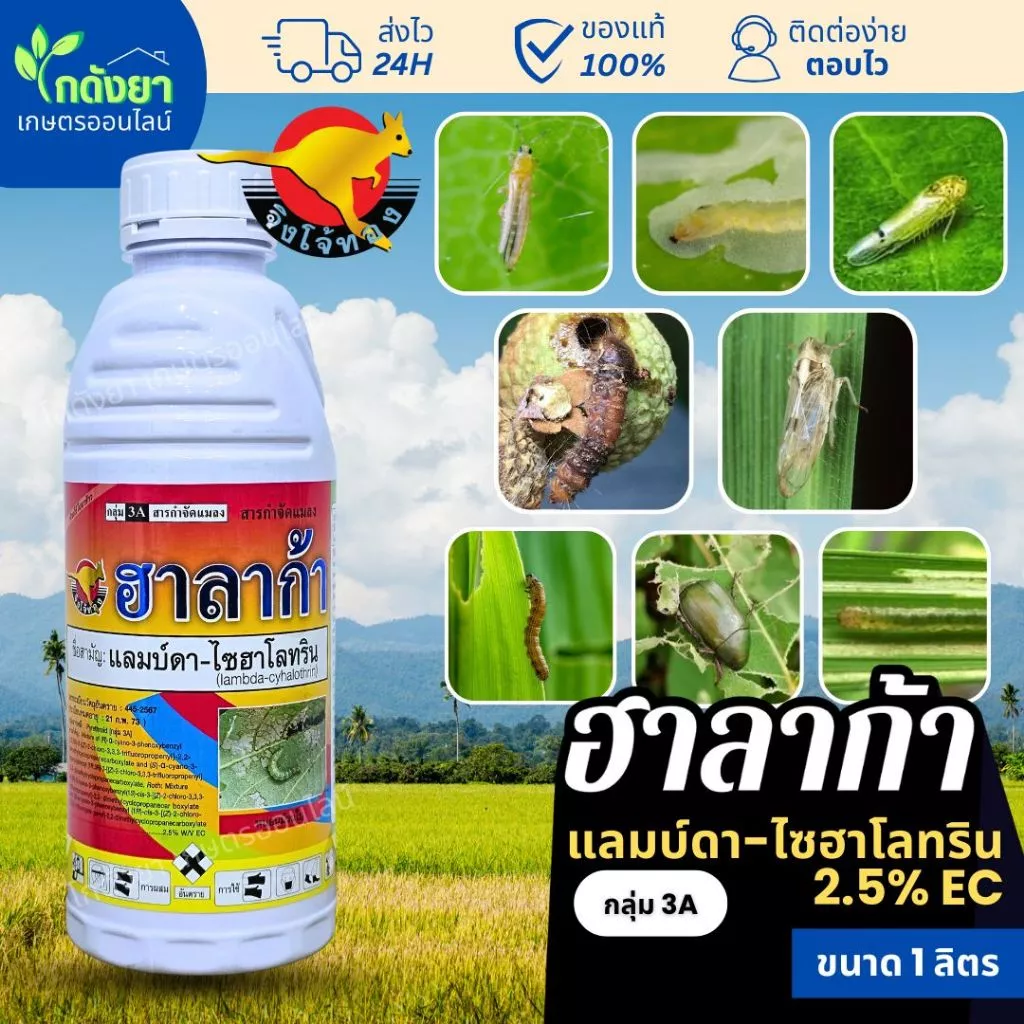 ยาฆ่าแมลง