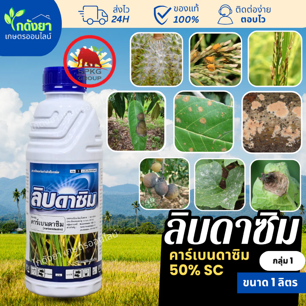 ลิบดาซิม 1L คาร์เบนดาซิม ตราแมมมอธแดง spkg น้ำครีม สูตรเย็น ยาเชื้อรา โรคพืช