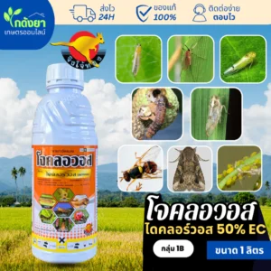 ยาฆ่าแมลง โจคลอวอส ไดคลอร์วอส 50% 1ลิตร กำจัดเรียบทุกแมลง บนดิน ใต้ดิน มีปีก