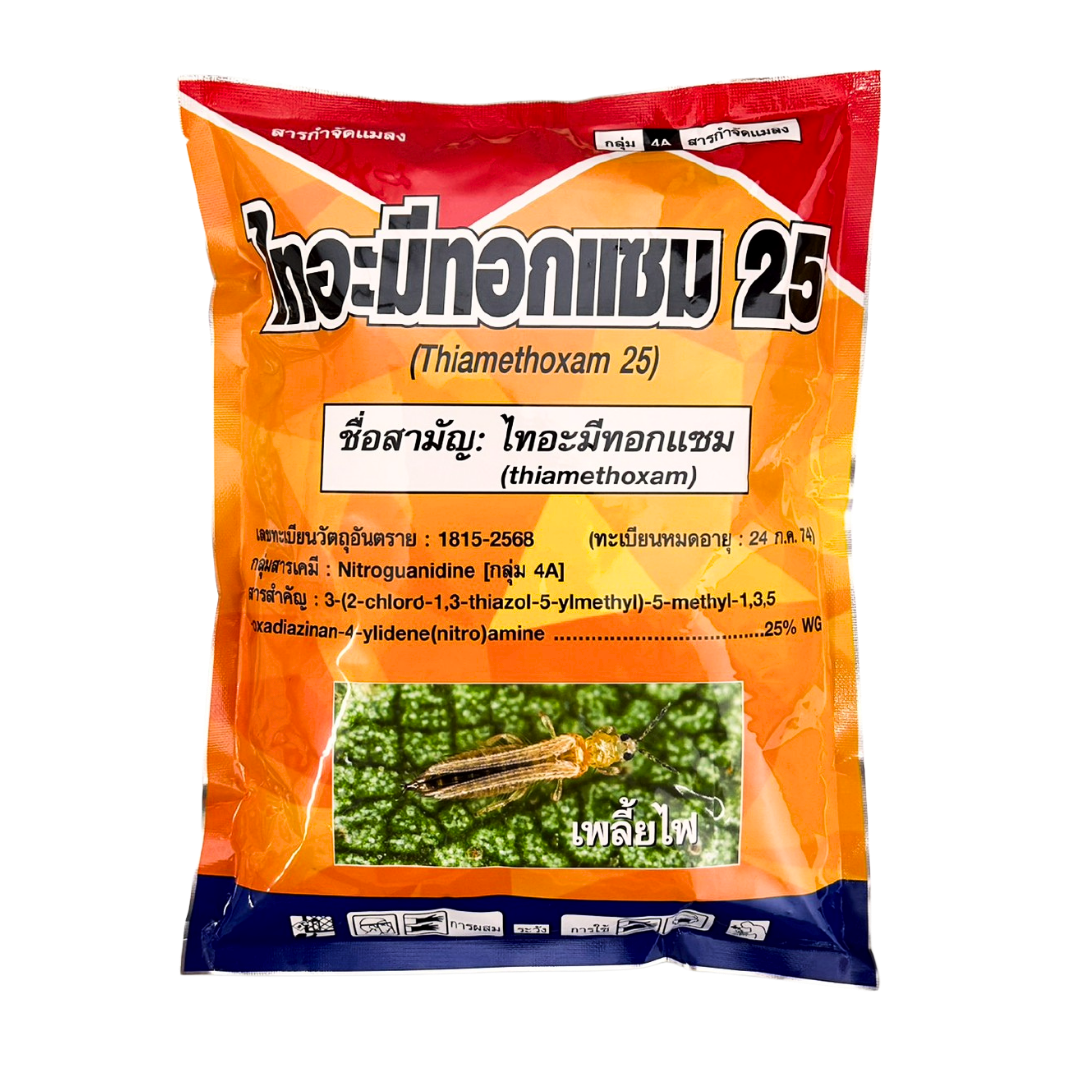 ไทอะมี อาชา