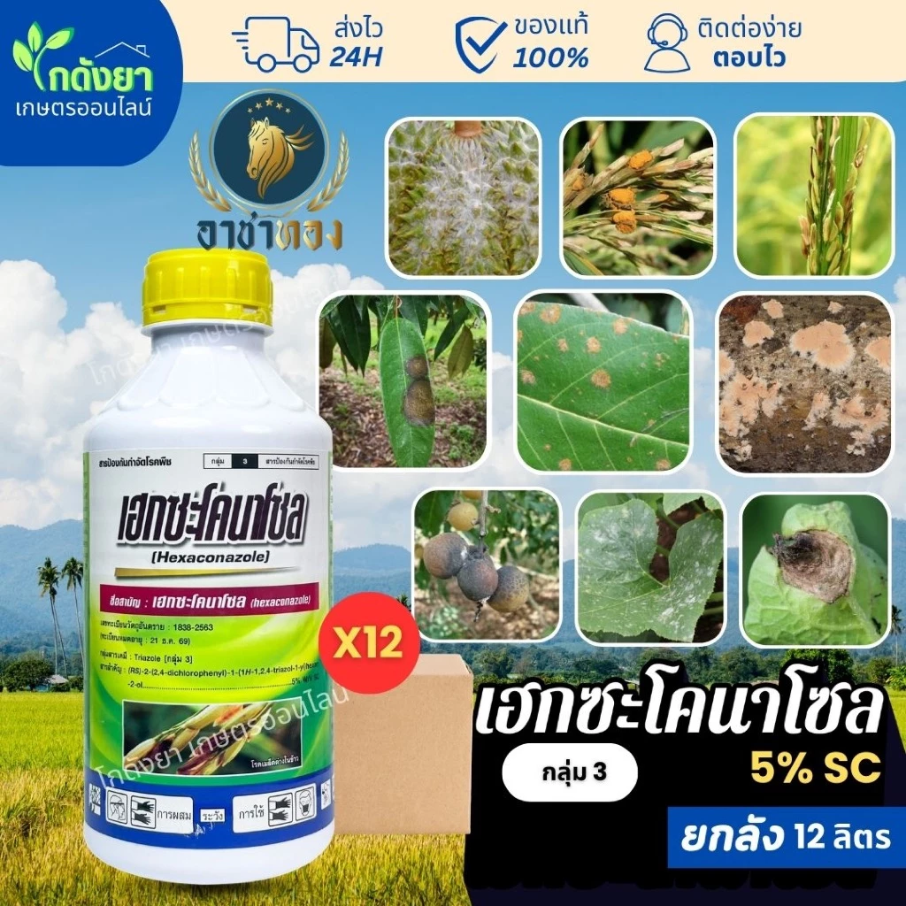 เฮกซะโคนาโซล