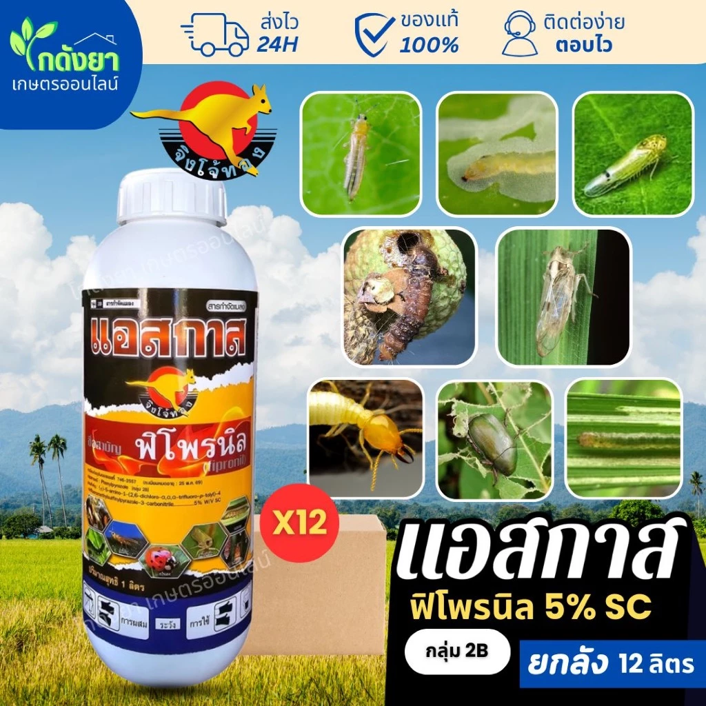 แอสกาส ฟิโพรนิล ยกลัง 1L x 12ขวด