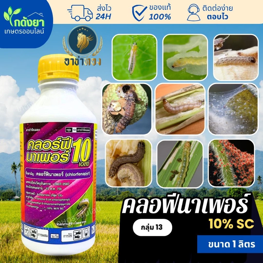 คลอร์ฟีนาเพอร์ 1L สูตรพิเศษ ตราอาชาทอง กำจัดกว้างขวาง หนอน เพลี้ย ไร ตายเรียบ