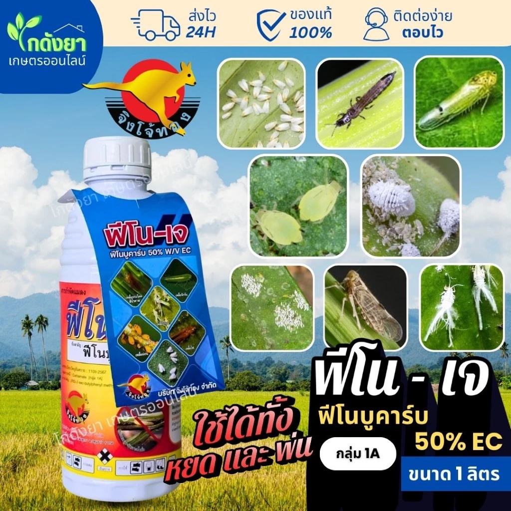 ยาฆ่าแมลง ฟีโนเจ ฟีโนบูคาร์บ 1L ตัวดัง เก่งทุกเพลี้ย และแมลงบิน