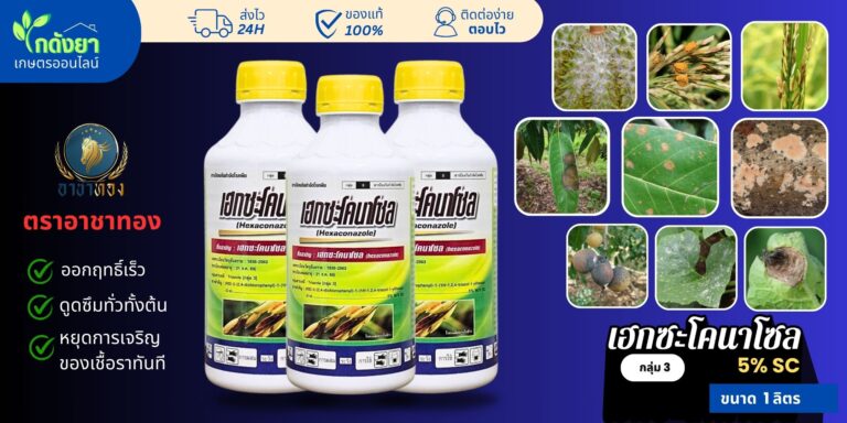 เฮกซะโคนาโซล