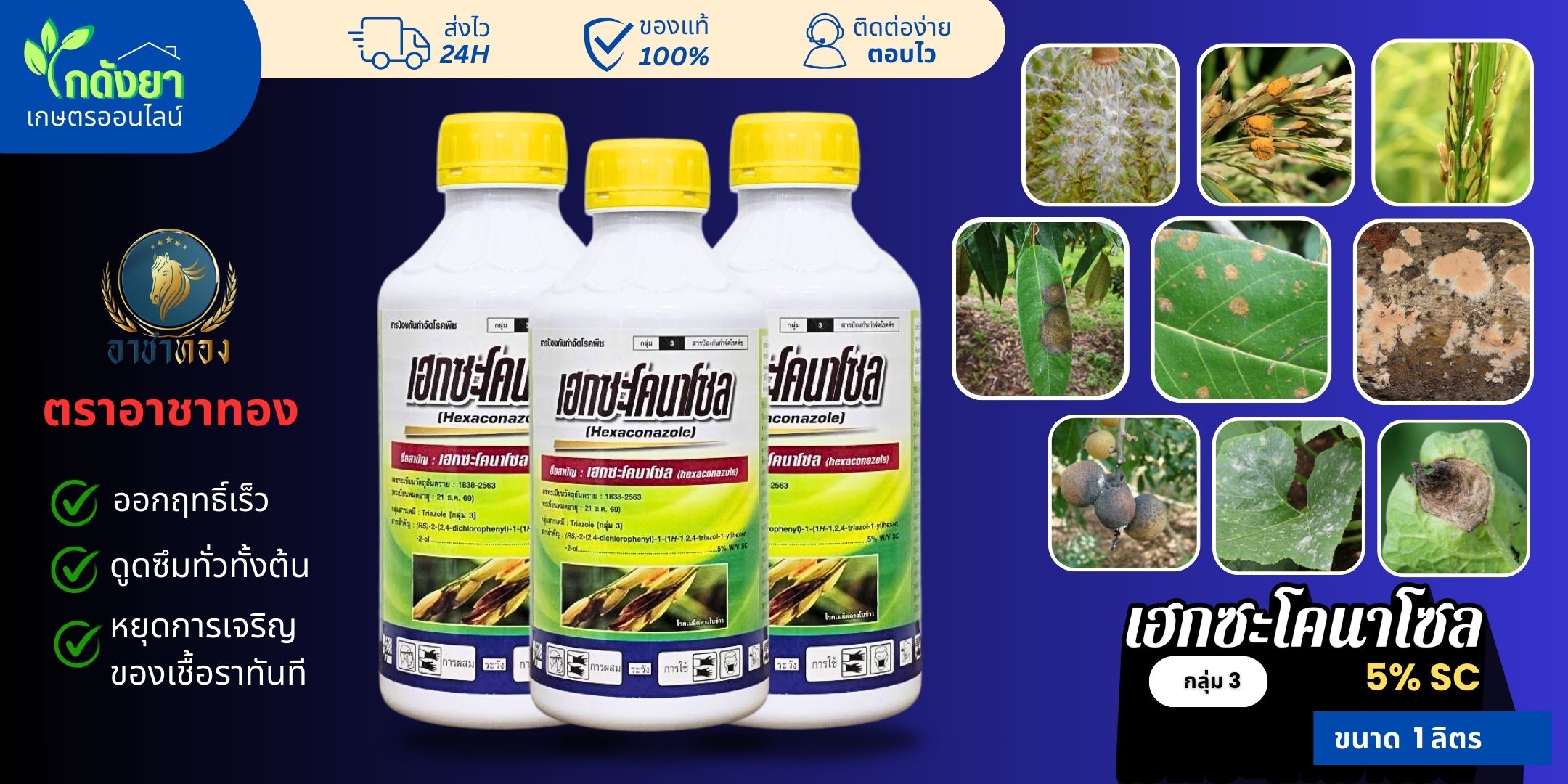 เฮกซะโคนาโซล