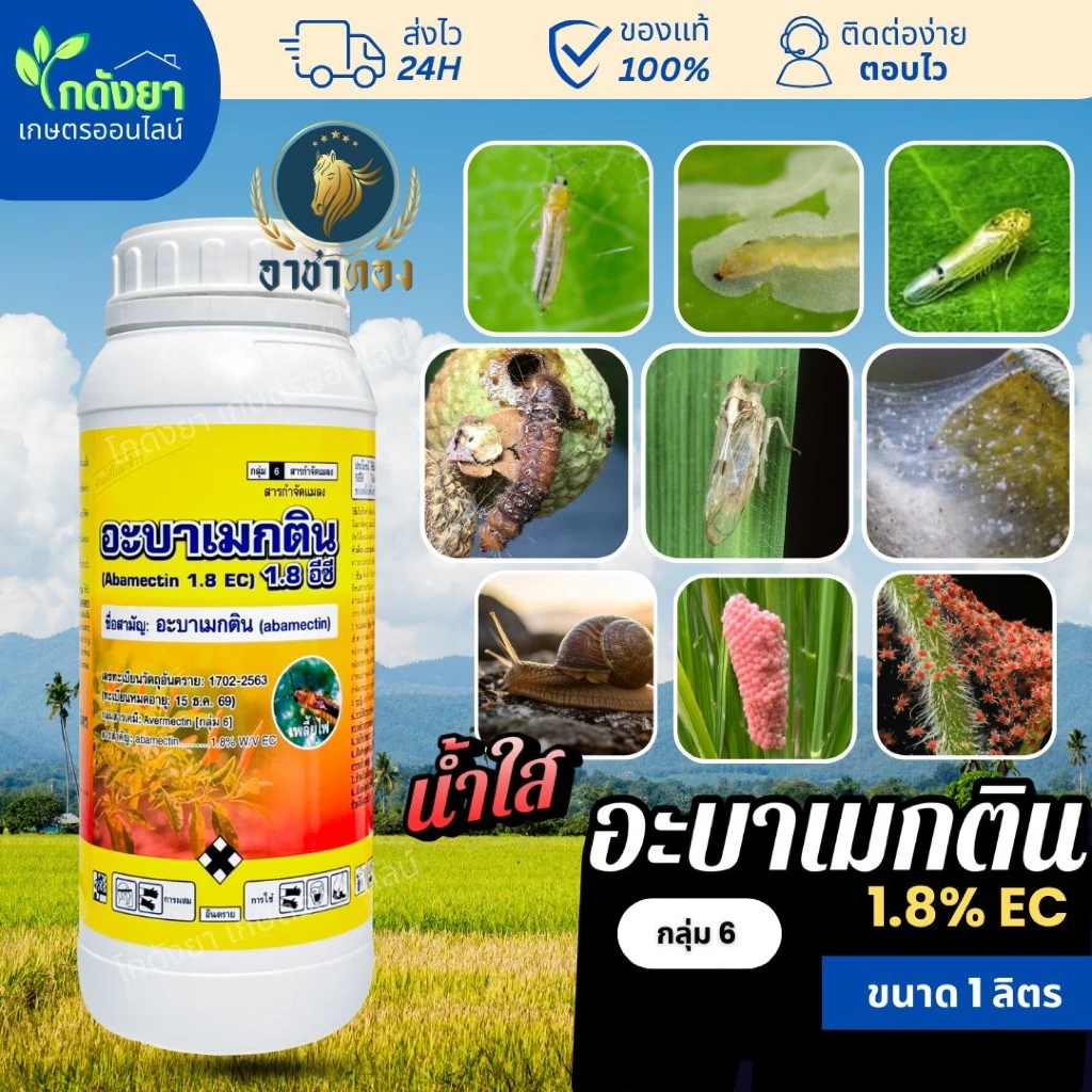 อะบา อาชาทอง