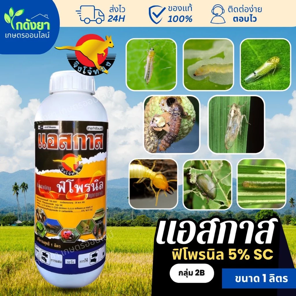 แอสกาส 1L ฟิโพรนิล5%SC ยาฆ่าแมลงแมลง คุณภาพสูง หนอน เพลี้ย แมลงบิน ปลวก มด ตายยกรัง