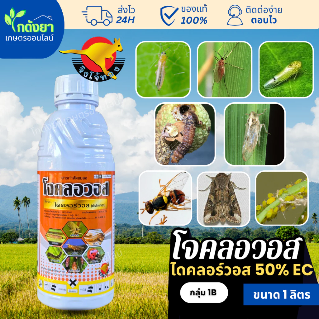 ยาฆ่าแมลง โจคลอวอส ไดคลอร์วอส 50% 1ลิตร กำจัดเรียบทุกแมลง บนดิน ใต้ดิน มีปีก